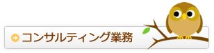 コンサルティング業務