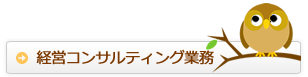 経営コンサルティング業務